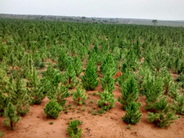 Nursery